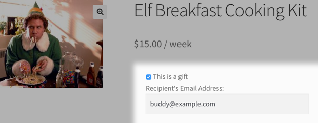 Subscription recipient email field screenshot