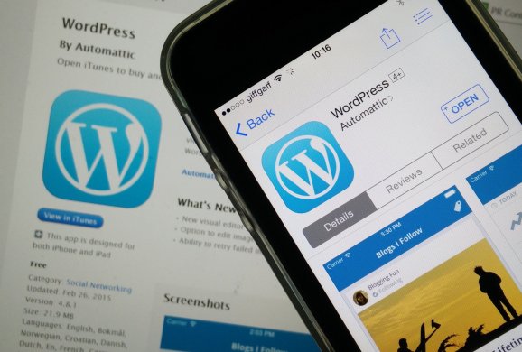 Read more about WordPress hitting the 30 percent mark