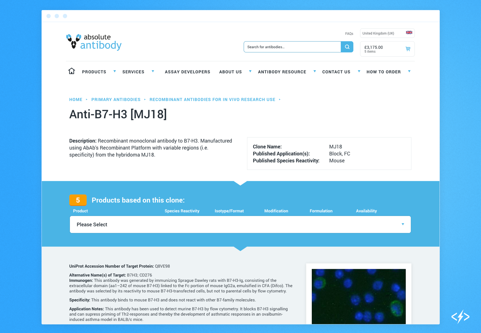 An antibody product page using Ajax calls to pull in different levels of product information