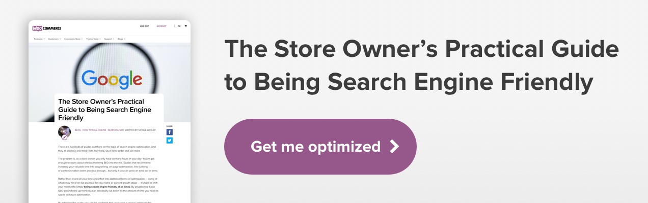 The Store Owner's Practical Guide to Being Search Engine Friendly