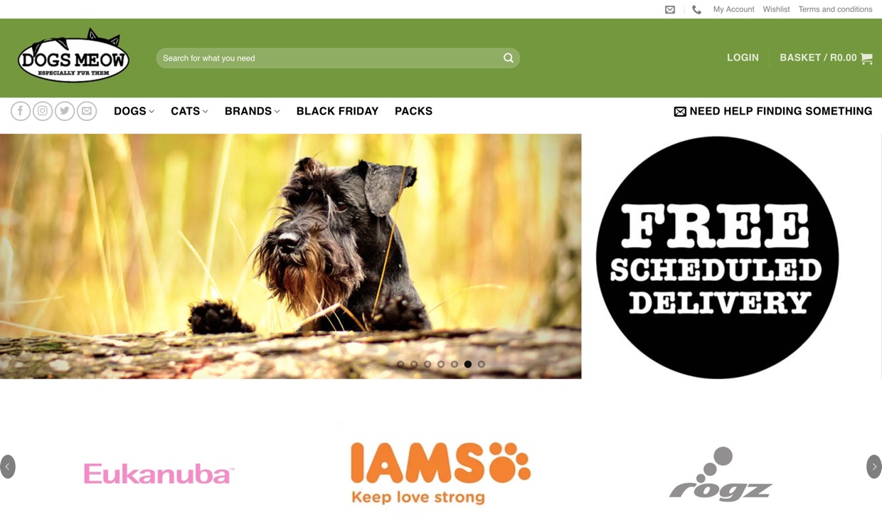 The homepage of dogsmeow.co.za