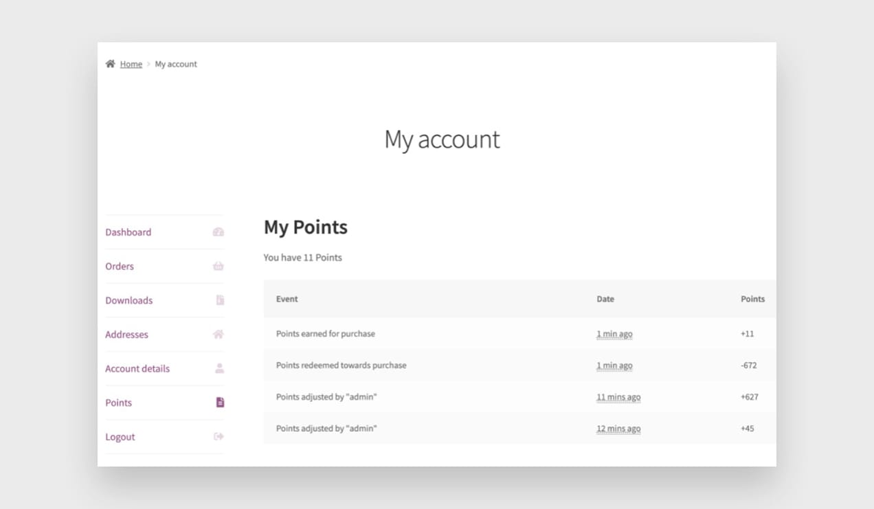The My Points screen in the My Account dashboard.