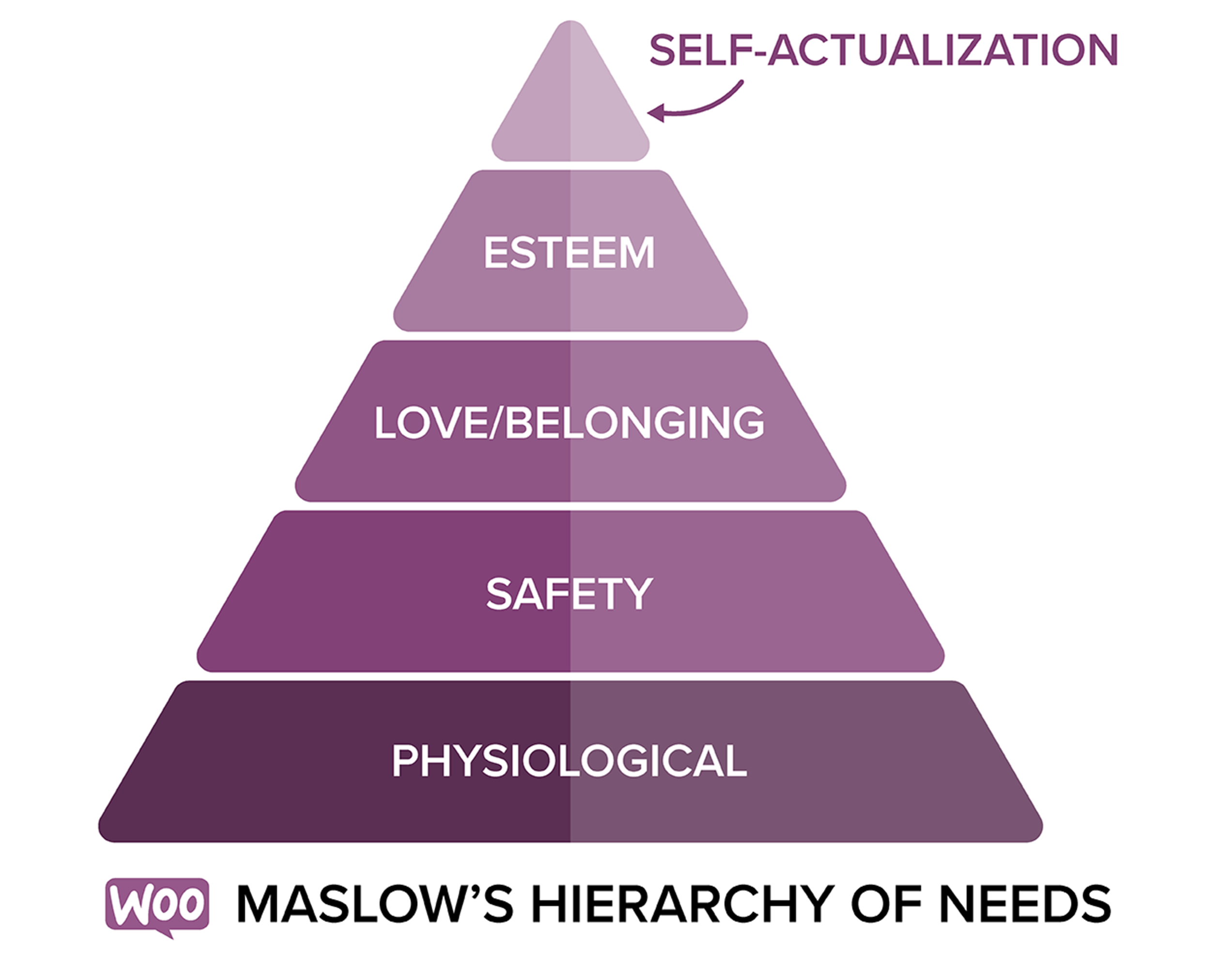 Maslow's Hierarchy of Needs, which outlines the needs of your customers.