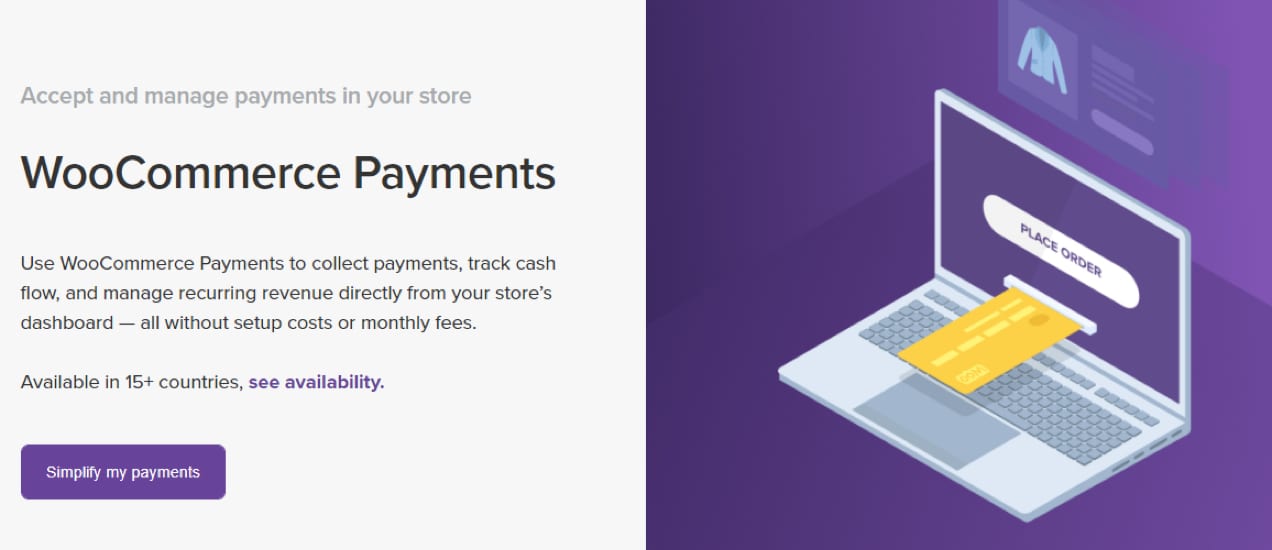 WooPayments illustration and description