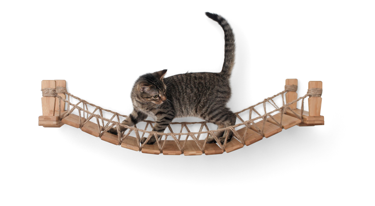 cat climbing on a cat bridge