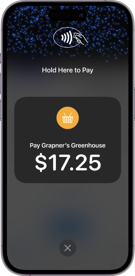 iPhone with tao to pay enabled