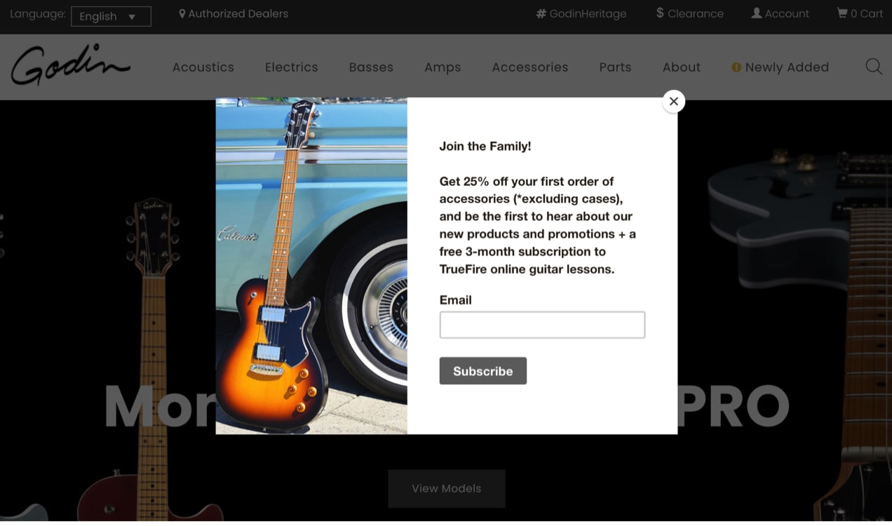 Godin Guitars email capture on their site